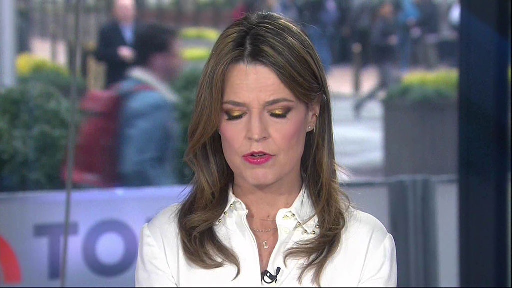 Savannah Guthrie Apologizes After Accidentally Swearing on Live TV - E